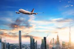 'Frequent Flyer' Takes 200 Flights in a Year to Rob Co-Passengers, Buys Hotel in Delhi