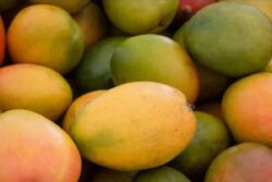 Online Business Model Helps Karnataka Farmer Sell 1,800 Kg Of Mangoes In 2 Months