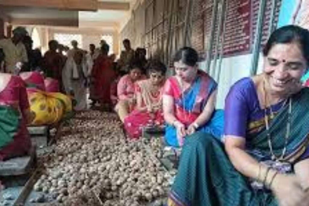 In North Karnataka’s Swarnavalli, Huge Footfall At Nut Shelling Competition