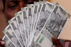 Cultivating This Fruit Can Help You Earn Rs 10 Lakh In 3 Months