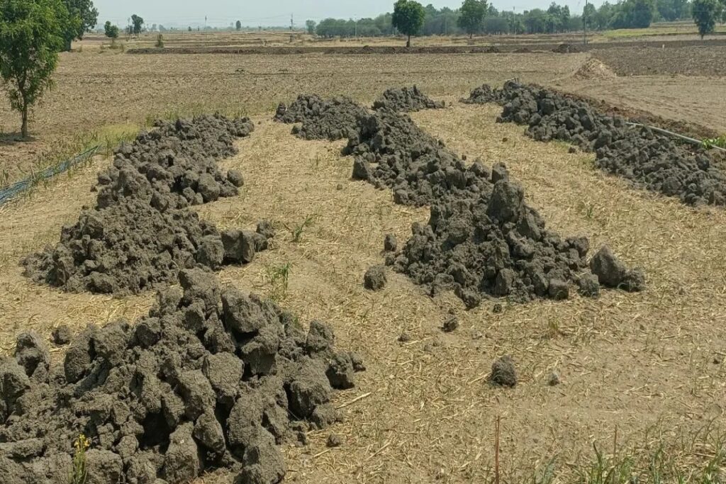 Nizamabad Farmers Aim To Use Pond Soil For Better Turmeric Growth