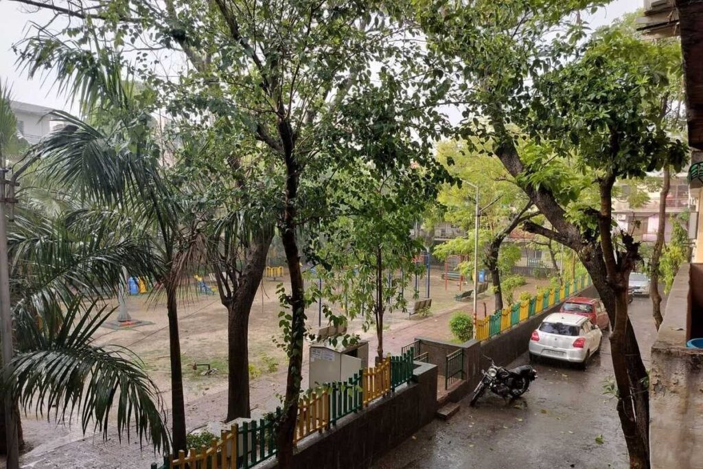 News18 Evening Digest: Rain In Delhi After Amid Record-breaking Heat, All About 'All Eyes On Rafah' Campaign & Other Top Stories