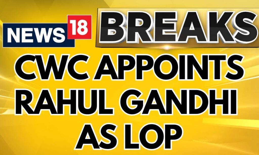 Congress Working Committee Passes Resolution To Appoint Rahul Gandhi as LoP in Lok Sabha | News18