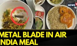 Air India Shocker Again | A Passenger Finds Sharp 'Blade' In Meal | Air India News Today | News18