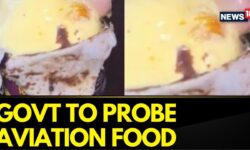 Centre Takes Cognisance of Reports of Finger, Frog Found In Food Items, Likely To Probe Complaint