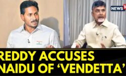 Jagan Mohan Reddy's YSRCP Has Accused Chandrababu Naidu's TDP Of 'Vendetta Politics' | News18