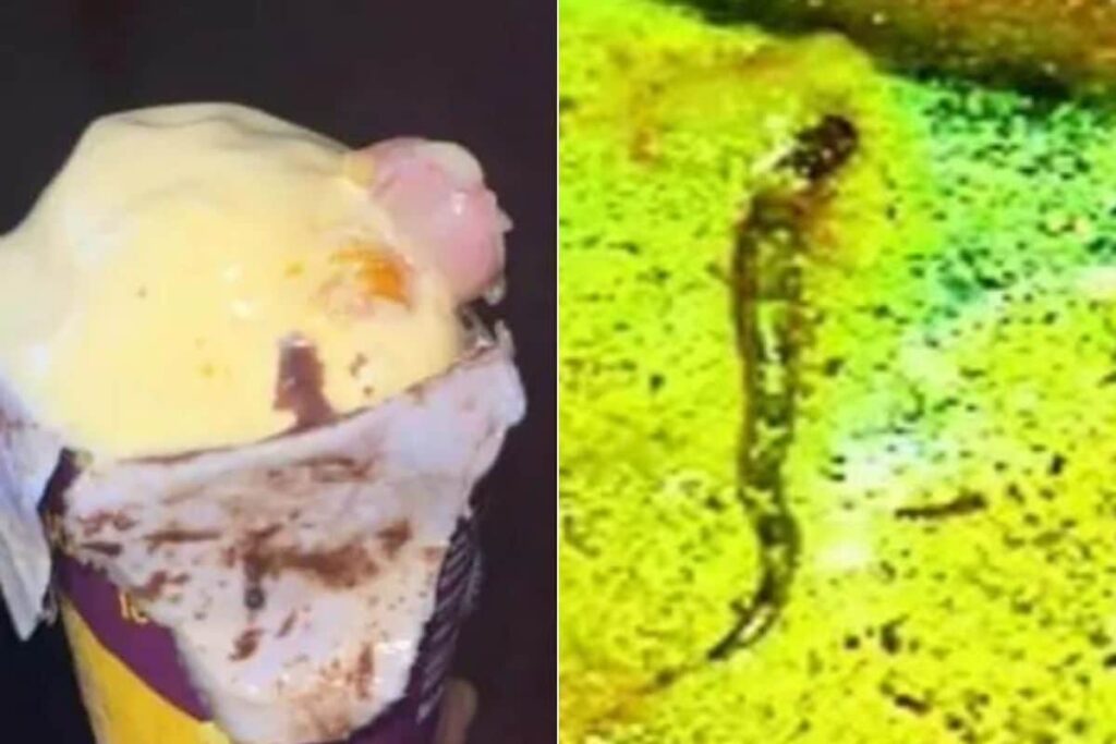 After Human Finger Found In Ice Cream, Bihar Students Find Pieces Of Snake In College Food