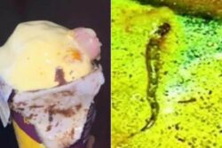 After Human Finger Found In Ice Cream, Bihar Students Find Pieces Of Snake In College Food