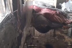 Massive Fire Breaks Out At BJP Gujarat Office, No Casualties Reported