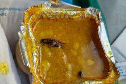 Dead Cockroach In Vande Bharat Meal Again, IRCTC Imposes Penalty On Service Provider