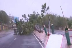 Man Injured After Street Light Pole Falls On Him In Thane