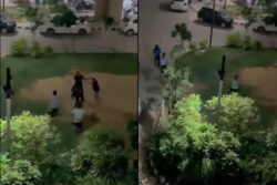 Gurugram: Scuffle Erupts After Guards Stop Residents From Drinking Alcohol On Campus | Watch