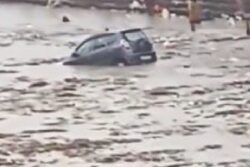 Video: Vehicles Float In Haridwar As Heavy Rains Brings Floods