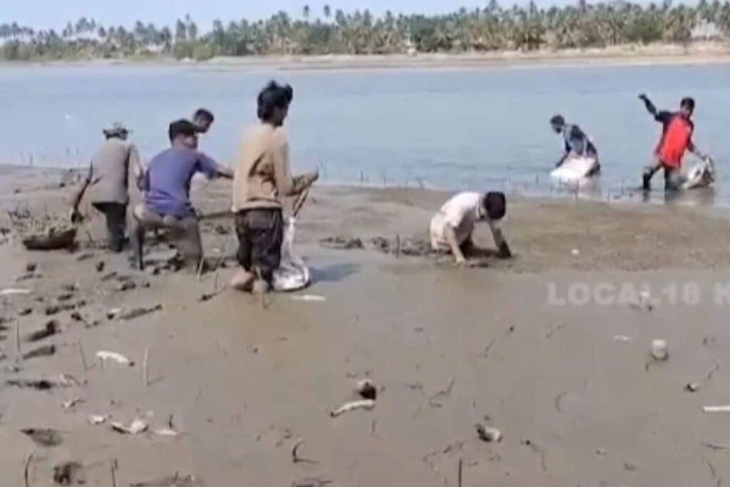 Environmentalists Launch Initiative To Revive Decaying Kandla Forest In Udupi