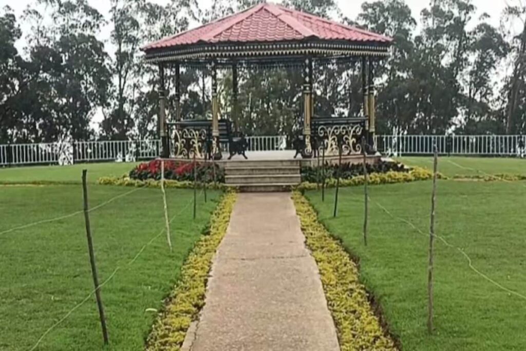 Why Ooty's Tea Gardens Are A Must-visit