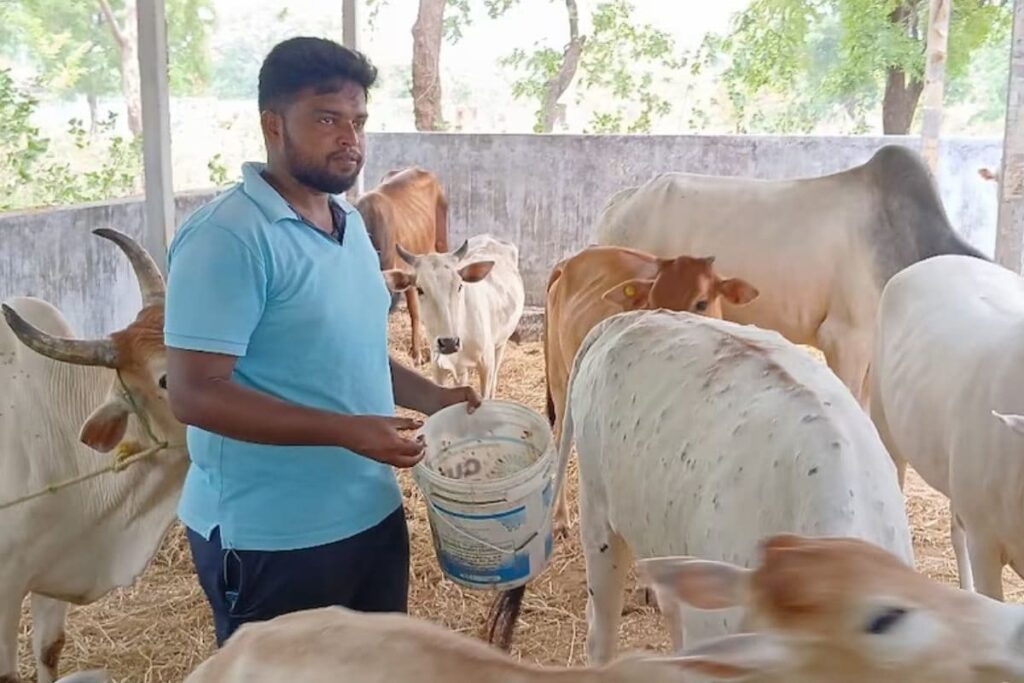 This Andhra Man Has Rescued 200 Cows Till Date
