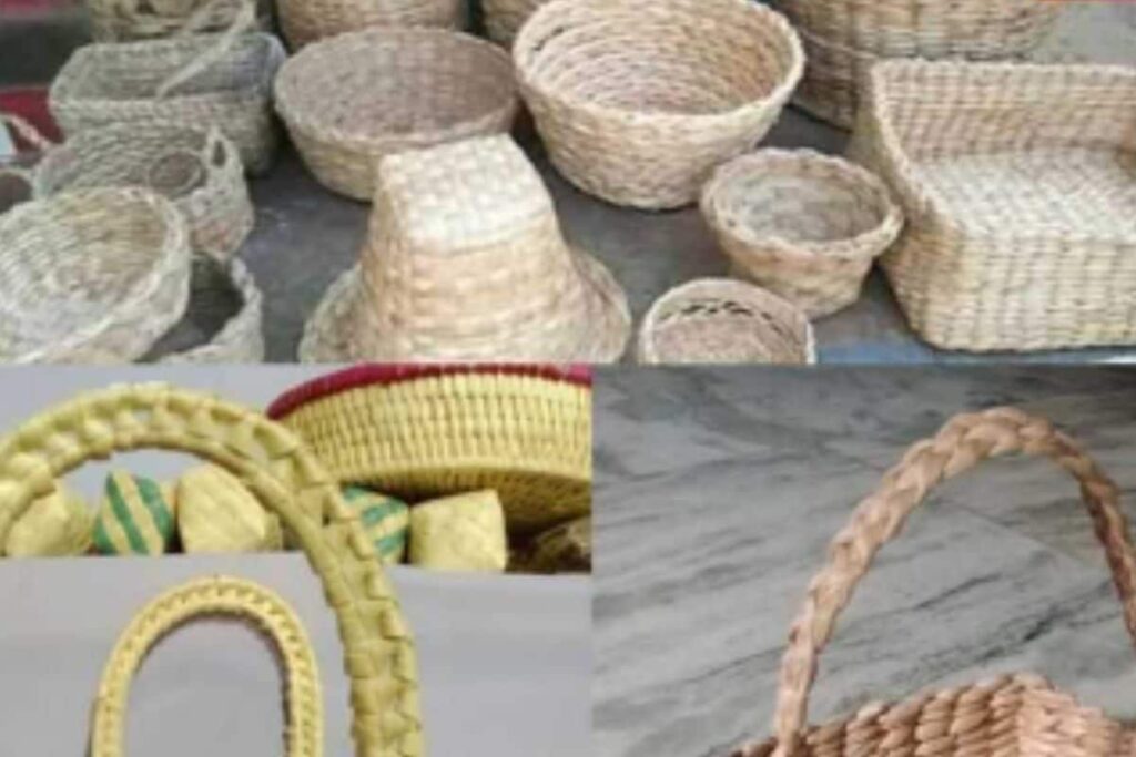 Turning Waste To Wealth, Tamil Nadu Woman Converts Banana Stems Into Industrial Products