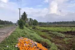 Trivandrum Mayor Takes Action Against Dumping, Backed By Govt's Statewide Cleanliness Drive