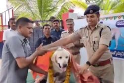 Watch: Telangana Police's Heartfelt Farewell To Dog Who Retired After11 Years Of Service