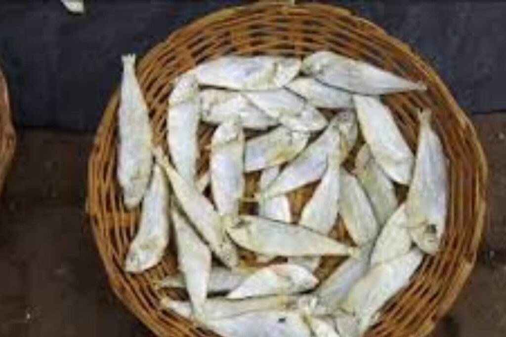 With The Onset Of Monsoon, Sale Of Dry Fish Surges In Karnataka’s Karwar