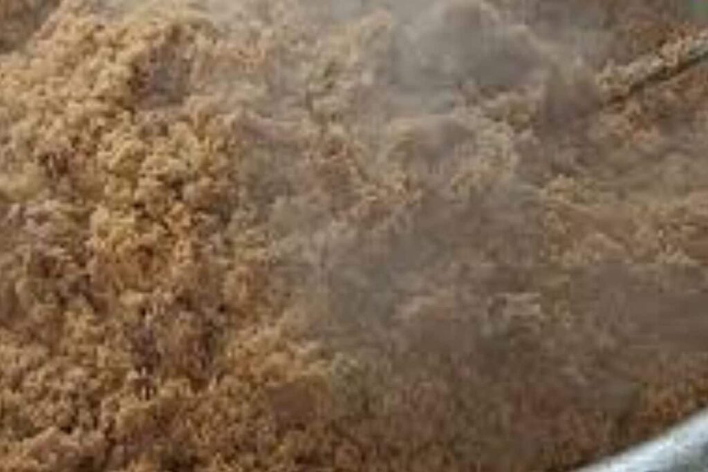 What Makes Tamil Nadu’s Dindigul Biryani Special And How It Is Prepared