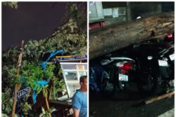 Heavy Rains, Thunderstorm Lash Several Parts Of Bengaluru; Metro Services & Traffic Disrupted