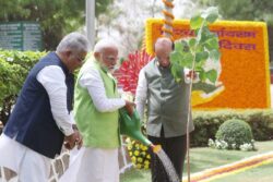 On World Environment Day, PM Modi Launches 'Ek Ped Maa Ke Naam' Campaign