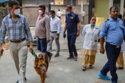 Over 50 Mumbai Hospitals Get Bomb Threat Email