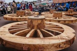 Rath Yatra 2024: Interesting Trivia About Chariots Will Leave You Amused