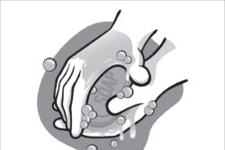 Sanitation as a Human Right: Ensuring Access for Marginalised Groups