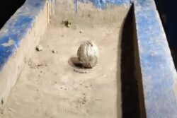 Suspicious Object Found Outside BJP's Office In Kolkata, Bomb & Dog Squads On Spot