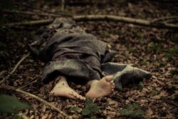 Naxalite Killed In Dhamtari; 133 Ultras Gunned Down So Far This Year In Chhattisgarh