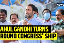 Rahul Gandhi Wins Rae Bareli, Beats Sonia’s 2019 Victory Margin