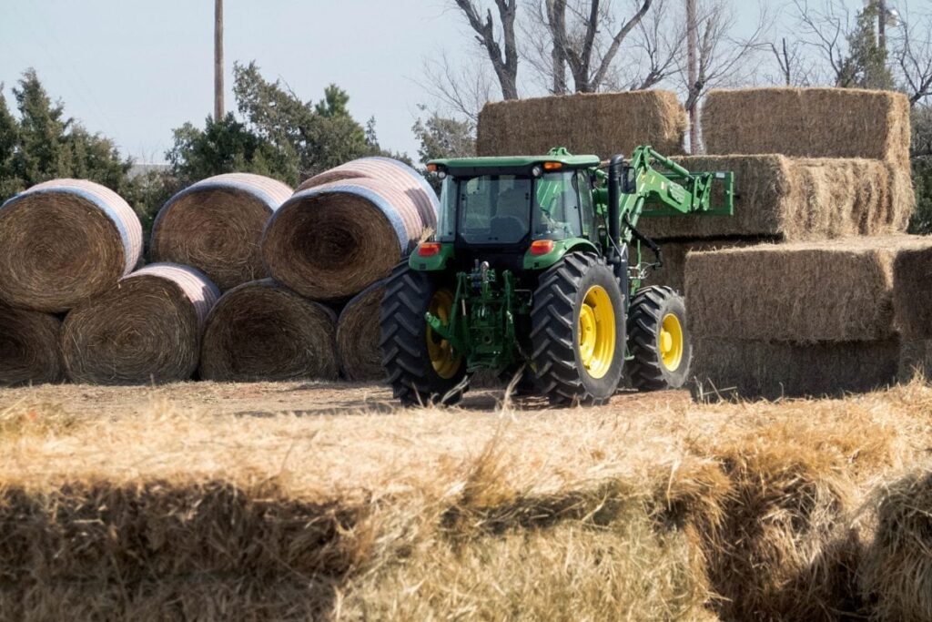 'Horror Film': Indian Farm Worker With Severed Arm Dies After Being Abandoned on Roadside in Rural Italy