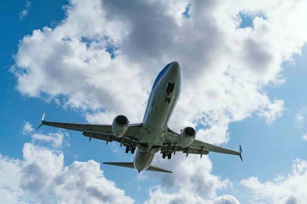 Woman De-boarded From Plane After Chaos, Bites Hand of Security Officer In Lucknow