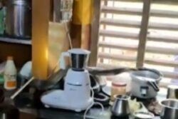 In Uttara Kannada, Snake Catcher Rescues 12-foot Long King Cobra