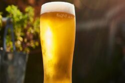 In Bengal's Durgapur, This Microbrewery Famous For Long List Of Beer Varieties