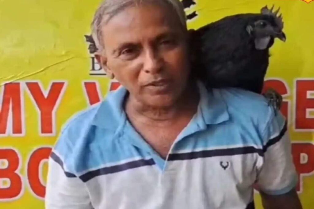 In Telangana, This Kadaknath Chicken Listens To Its Owner And Walks As Instructed