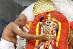 At Andhra Pradesh’s Appalayagunta, Brahmotsavam Witnesses Lord Krishna Idol On Chandra Vahanam