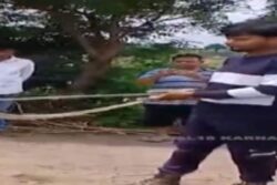 In Karnataka’s Belagavi District, Snake Infestation Wreaks Havoc