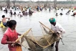 Villages In Tamil Nadu's Pudukkottai District Celebrate Unity Through Annual Fishing Festival