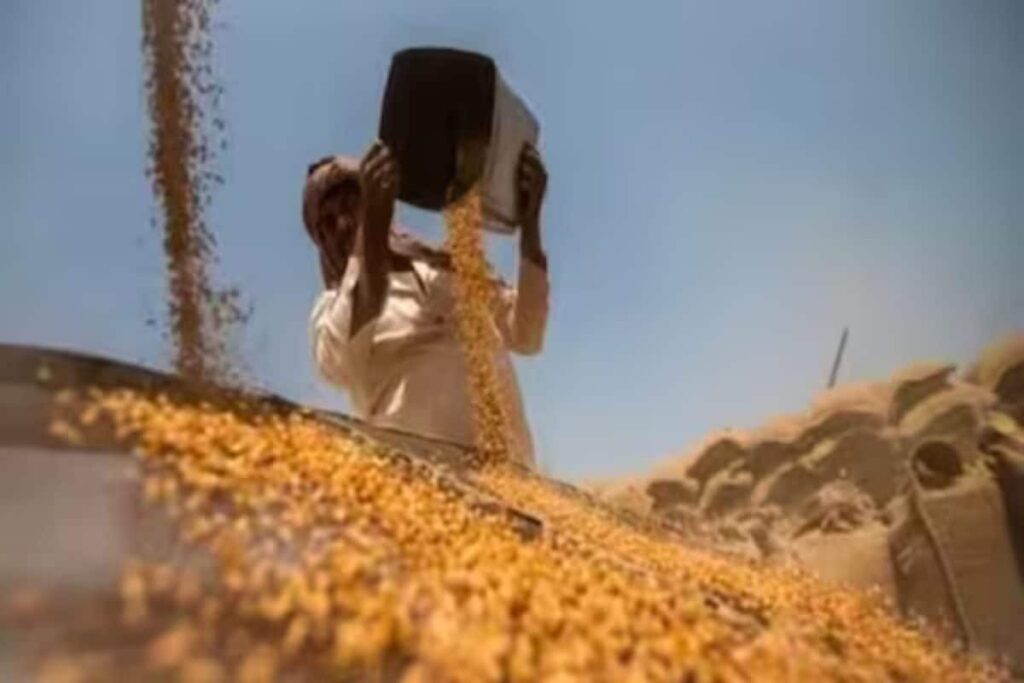 ‘Keeping Prices Stable Top Priority’: After Pulses, Centre Imposes Stock Limits On Wheat