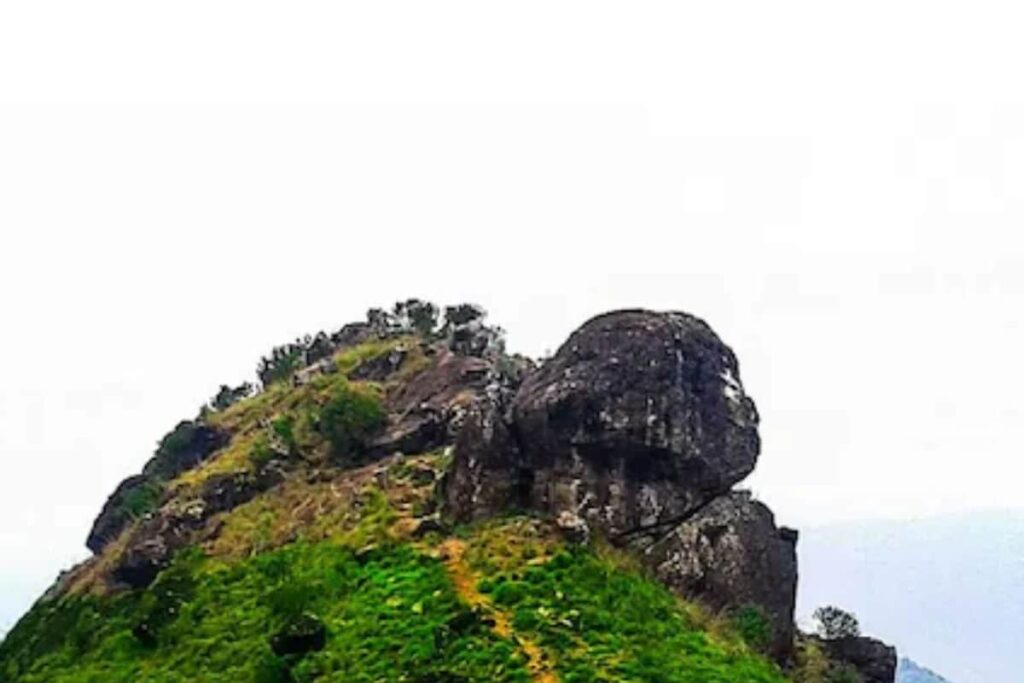 Explore Ranipuram And Trek Amid Lush Greenery And Wildlife In Kasaragod