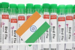 WHO Confirms Human Case of Bird Flu in India