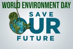 Happy World Environment Day 2024: Wishes, Quotes, Images and Messages to Share!