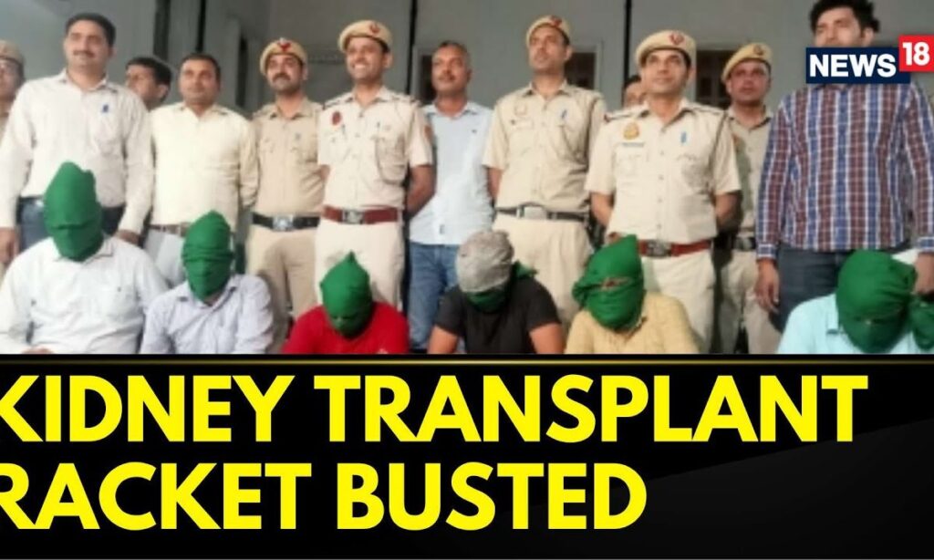 Delhi News | Delhi Police Crime Branch Busts Kidney Transplant Racket In Delhi | Doctor Arrested