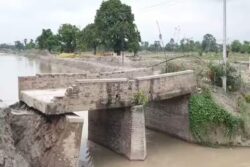 Another Bridge Collapses In Bihar's Siwan District, Seventh Such Incident In 15 Days