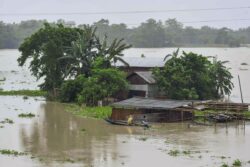 Four Animals Dead In Flooded Kaziranga National Park, 24 Rescued