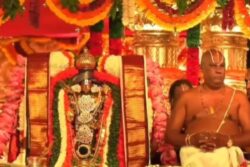 Sri Srinivasa Perumal Thirukalyanam Utsavam Organised In Puducherry