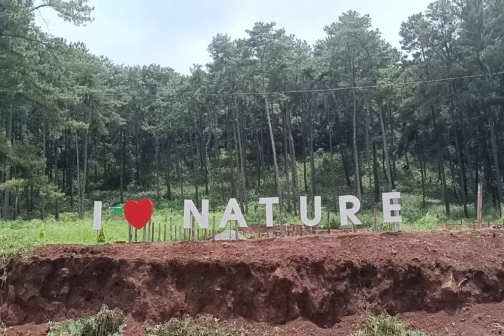 On Your Andhra Visit, Include Lambasingi In Your Itinerary For Its Scenic Beauty